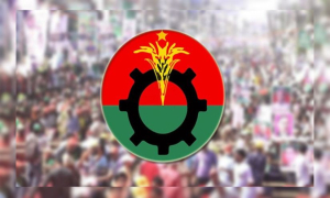 বিএনপি