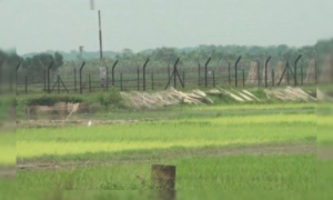 বাংলাদেশিকে ধরে নিয়ে গেল বিএসএফ