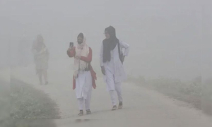 শৈত্যপ্রবাহ 