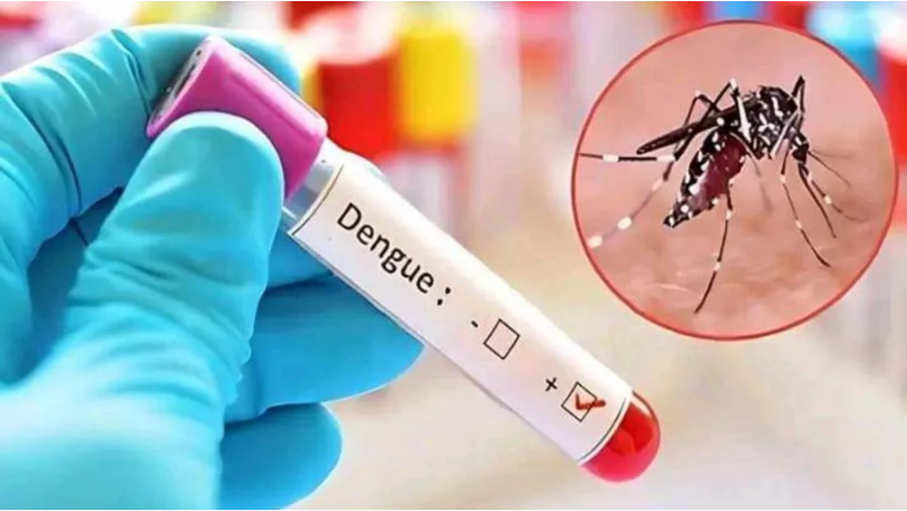 ২৪ ঘণ্টায় ডেঙ্গুতে আরও ৪ জনের মৃত্যু, হাসপাতালে ভর্তি ৯৪২