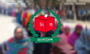 নির্বাচন