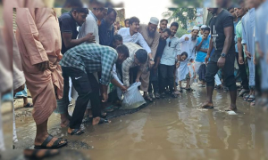 সড়কে মাছের পোনা ছেড়ে অভিনব প্রতিবাদ