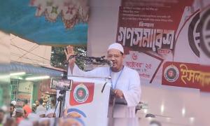 বিএনপি এককভাবে ক্ষমতায় গেলে ভারত ঢুকবে, চাঁদাবাজি বাড়বে