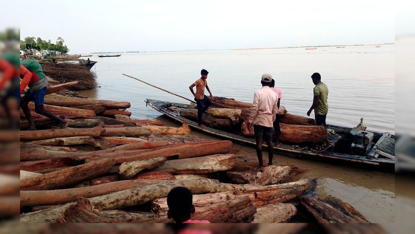 গুঁড়ি
