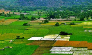 জমি
