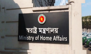 নির্বাচন