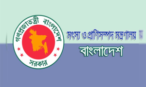 এনথ্রাক্স