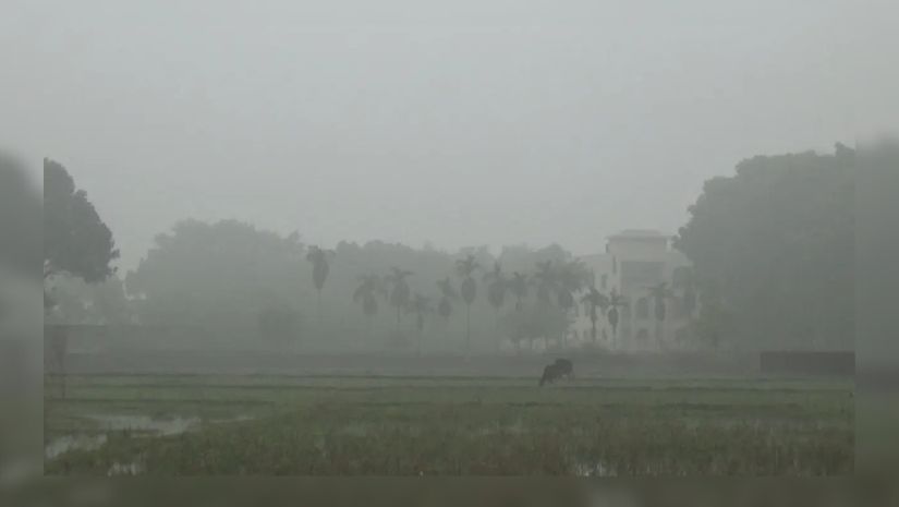 শীত
