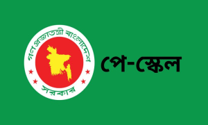 নতুন পে স্কেলে কত বাড়বে বেতন?