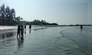 সেন্ট মার্টিন