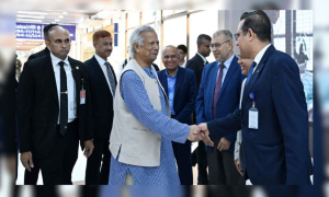 প্রধান উপদেষ্টা