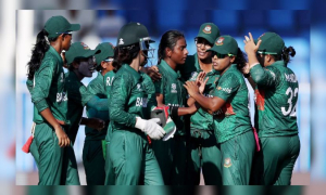 ক্রিকেটার