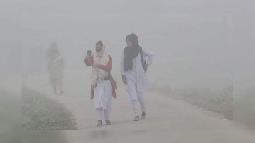 শৈত্যপ্রবাহ 