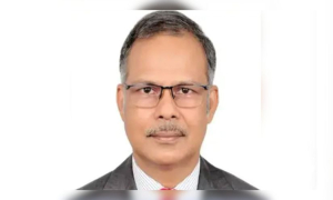 ডিএসসিসি