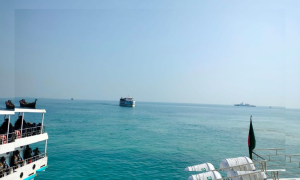 সেন্ট মার্টিন